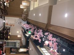 -松子料理(亮马桥店)