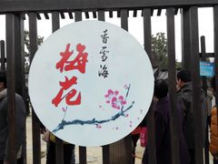-香雪海