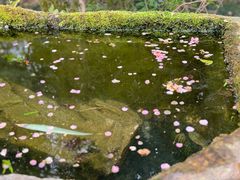-成都杜甫草堂博物馆