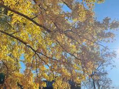 -超级奶爸(同安路店)