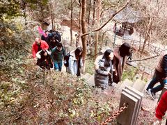 -宁波五龙潭景区