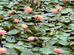 -白鹭湾湿地公园