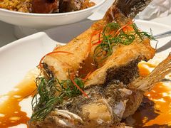 -侨美·唐荔园·40年地道粤菜