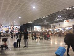 -米兰马尔彭萨国际机场