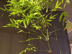 -怡情荟•海鲜青岛菜(五四广场旗舰店)