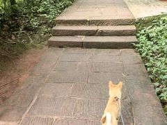 -赤水丹霞旅游区·佛光岩