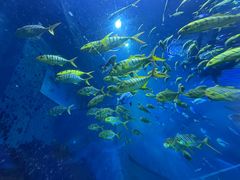 -威海华夏城景区