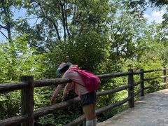 -少华山国家森林公园