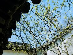 -苏州园林博物馆