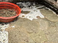 -郑庄脂渣海鲜楼(九水路店)