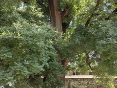 -康陵正德春饼宴26号