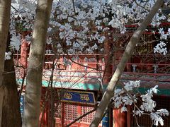 -潭柘寺景区