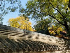 -北京国子监胡同