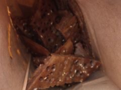 -香糯炎荞饼王(解放碑店)