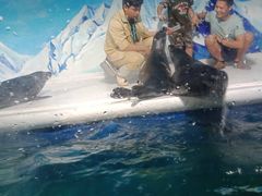 -成都浩海立方海洋公园