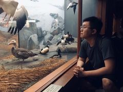 -美国自然历史博物馆