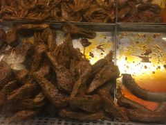 -老号尤兔头(西川店)