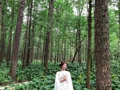 -洛阳白云山景区