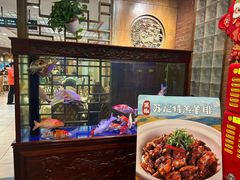 -庐州太太(鼓楼店)