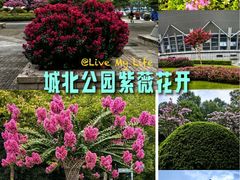 -杭州城北体育公园