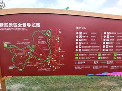 -贵州百里杜鹃风景名胜区