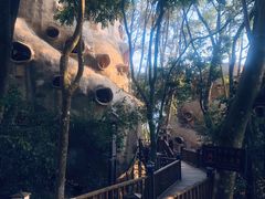 -天门沟九州驿站树上汤泉