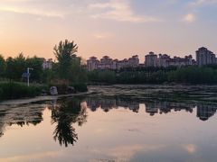 -马家湾湿地公园