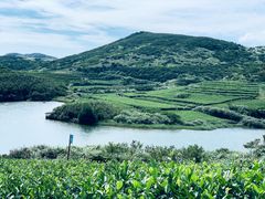 -嵛山岛