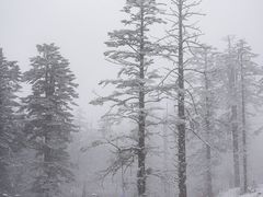 -瓦屋山景区