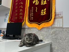 -良伴无忧宠物医院(泰欣嘉园店)