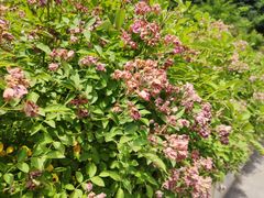 -UNI UNI(环亚凯瑟琳店)