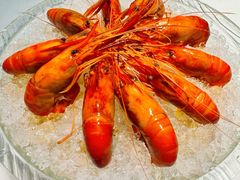 -席家花园(巨鹿花园店)