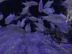 -厦门海底世界