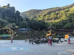 -西双版纳原始森林公园