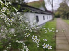 -杭州植物园