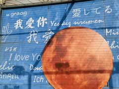 -青岛电视塔