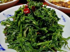 呛拌苜蓿菜-窄巷子陕菜馆·地道陕西菜(粉巷店)
