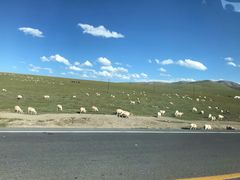 -青海湖国家重点风景名胜区
