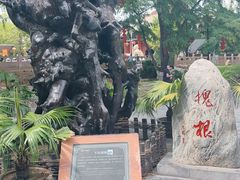 -大槐树寻根祭祖园