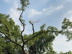 -张学良旧居陈列馆