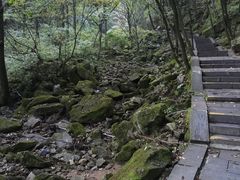 -洛阳白云山景区