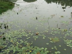 -艾溪湖湿地公园