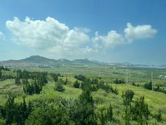 -摩天岭风景区