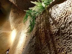 -愿者上钩(布吉老街店)