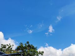 -白石龙音乐公园