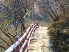 -黑龙潭风景区