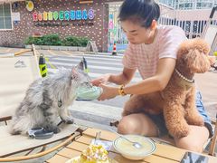 -张公桥美食街
