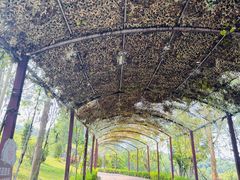 -泉州海丝野生动物世界