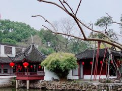 -上海醉白池公园