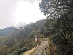 -西湖风景区十里琅珰-五云山